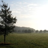 0809F 031 Niederlande : oostende